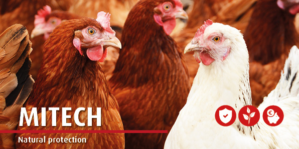 Mitech for Poultry